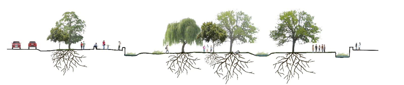 Flood park unflooded section