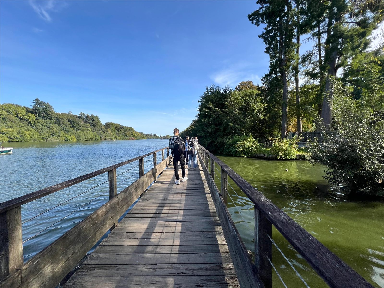 Project image 6 of 6: bridge over the river