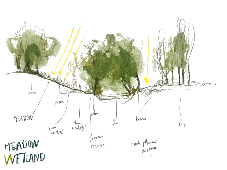 Hand-drawn section 2