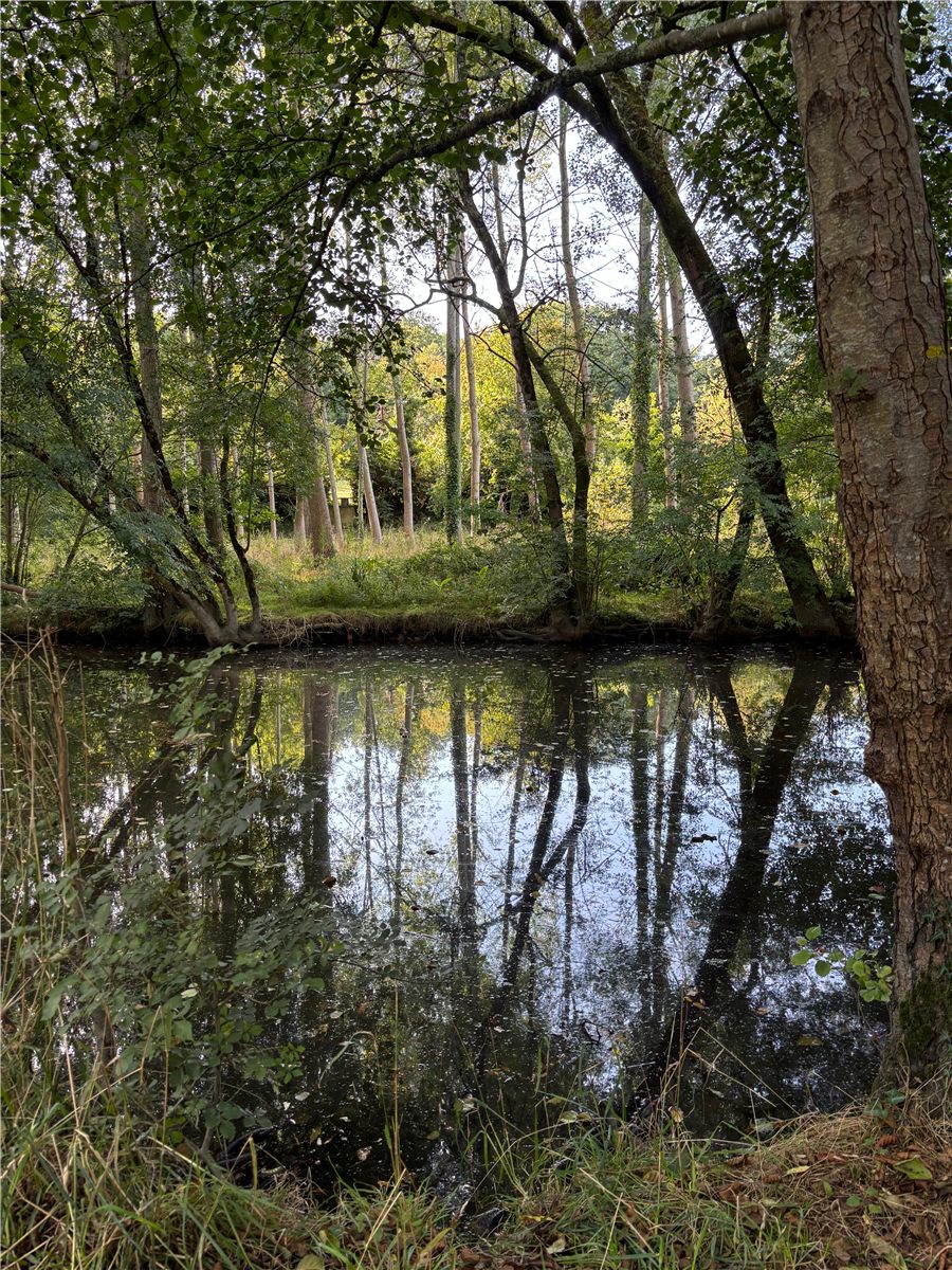Site photo from the river visit