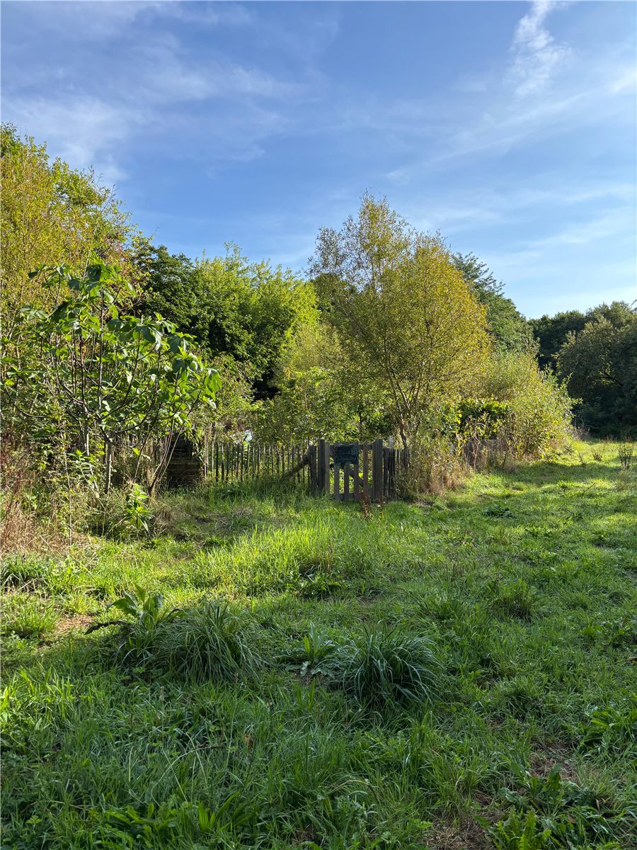 Site photo from the river visit